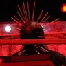 Craig Jones AI Voice