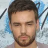 Liam Payne AI Voice