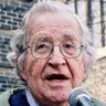 Noam Chomsky AI Voice