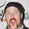Sheamus AI Voice