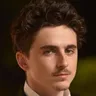 Timothée Chalamet AI Voice